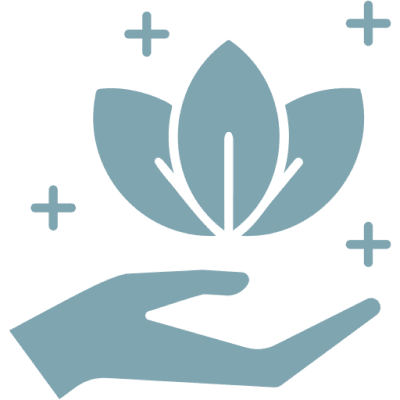 A hand holding three leaves with sparkles above it.